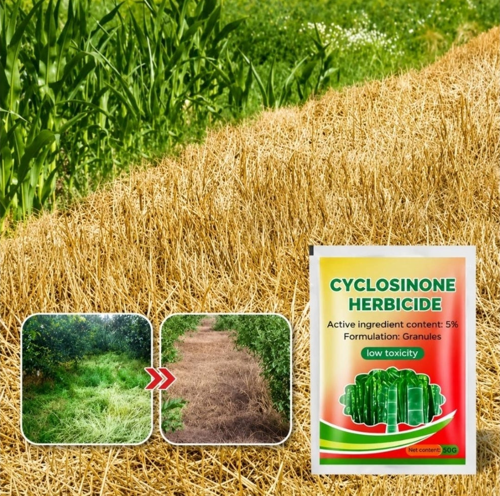🌱 Cyclosinone Herbicide Granules – Buy 1 Get 1 FREE