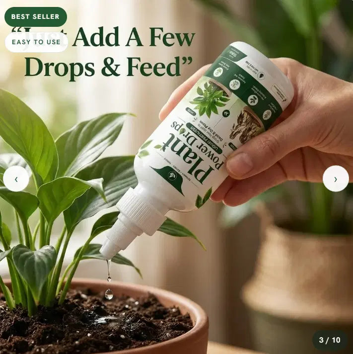 Plant Power Drops 🌿 Buy 1, Get 2 Free!