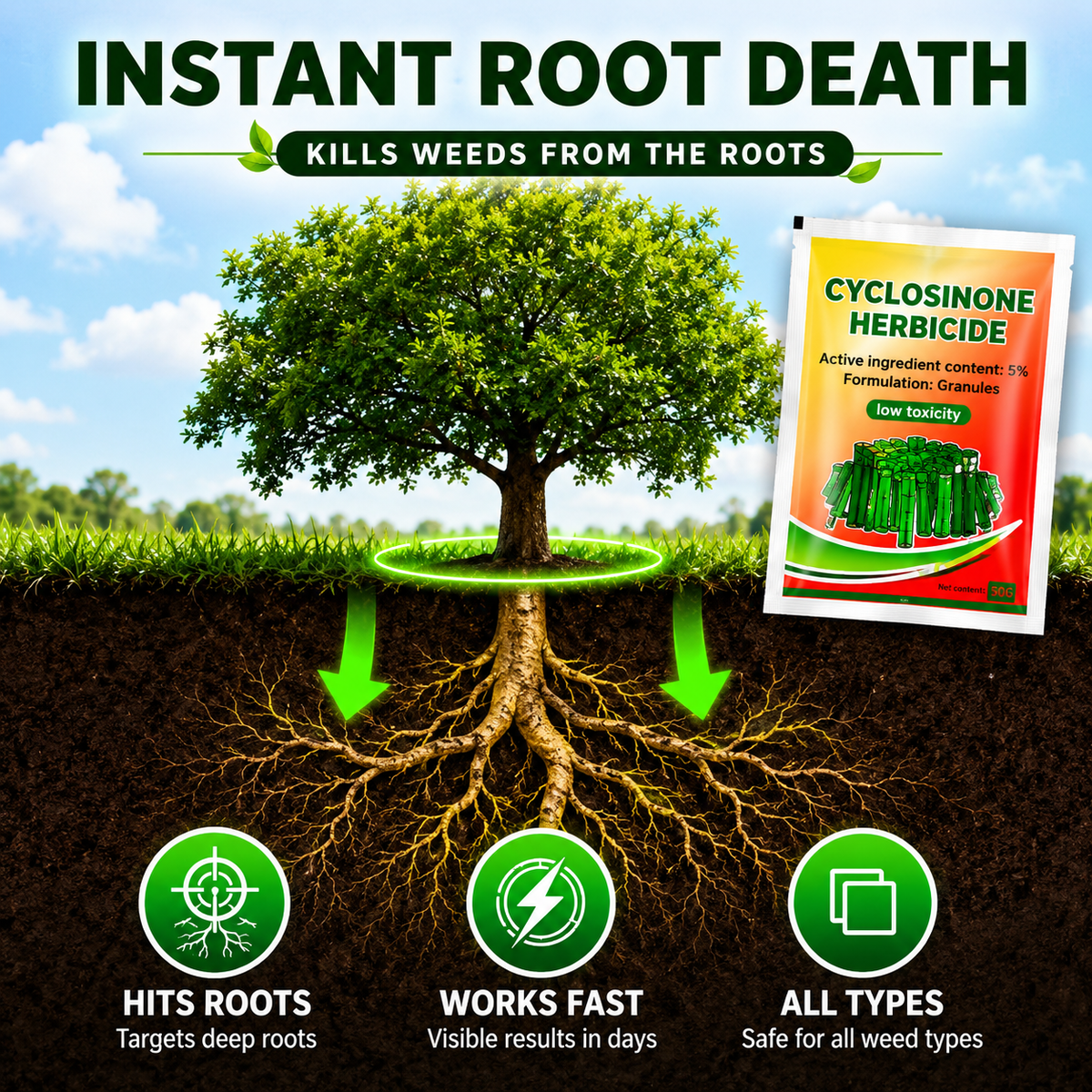 🌱 Cyclosinone Herbicide Granules – Buy 1 Get 1 FREE